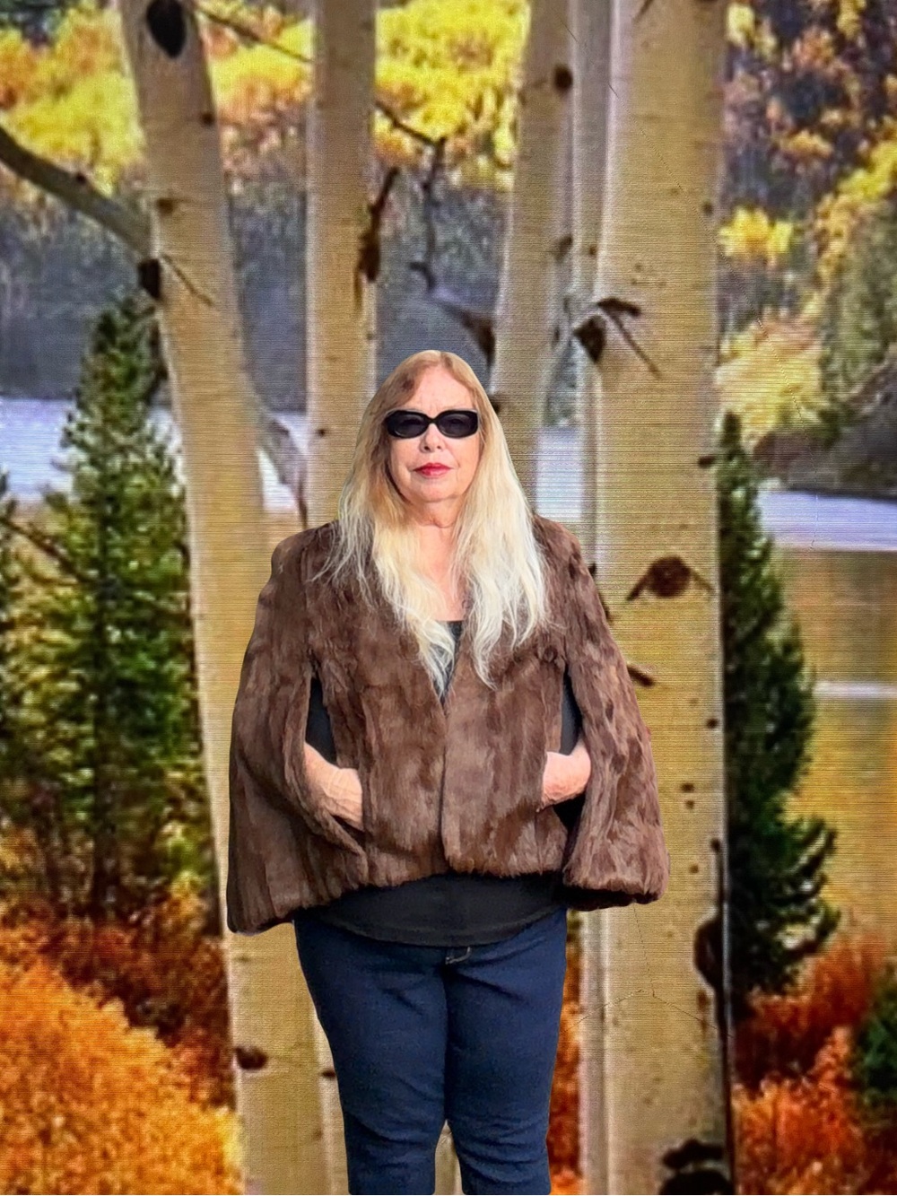 Genuine Soft Fur Cape or Poncho Wrap Great Shape 60’s Vintage No Monogram M-L